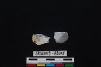 獸骨藏品圖，第1張