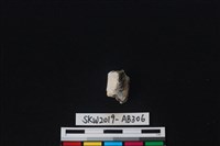 獸骨藏品圖，第2張