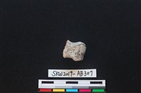 獸骨藏品圖，第1張