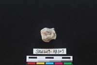 獸骨藏品圖，第2張