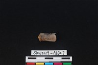 獸骨藏品圖，第2張