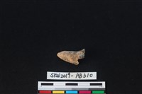 獸骨藏品圖，第1張