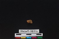 獸骨藏品圖，第2張