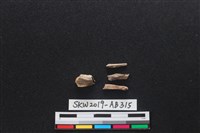 獸骨藏品圖，第1張