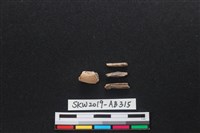 獸骨藏品圖，第2張