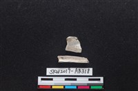 獸骨藏品圖，第2張