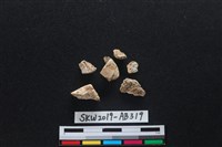 獸骨藏品圖，第1張