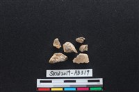 獸骨藏品圖，第2張