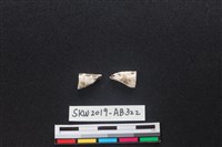 獸骨藏品圖，第1張