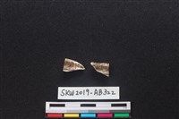 獸骨藏品圖，第2張