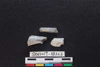 獸骨藏品圖，第1張