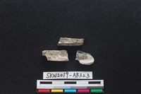 獸骨藏品圖，第2張