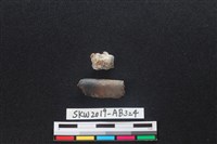 獸骨藏品圖，第1張