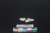 獸骨藏品圖，第2張