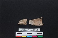 獸骨藏品圖，第2張