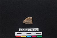 獸骨藏品圖，第2張