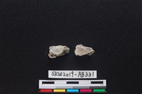 獸骨藏品圖，第1張