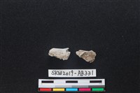 獸骨藏品圖，第2張