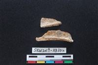 獸骨藏品圖，第1張