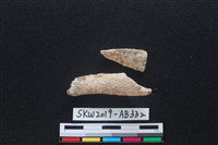 獸骨藏品圖，第2張