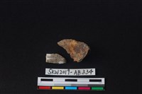 獸骨藏品圖，第1張