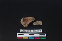 獸骨藏品圖，第2張