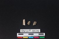 獸骨藏品圖，第2張