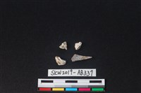 獸骨藏品圖，第2張