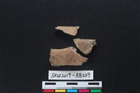 獸骨藏品圖，第2張