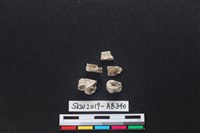 獸骨藏品圖，第2張