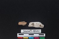 獸骨藏品圖，第2張