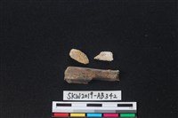 獸骨藏品圖，第1張