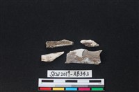 獸骨藏品圖，第1張