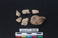 獸骨藏品圖，第1張