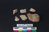 獸骨藏品圖，第2張