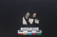 獸骨藏品圖，第1張