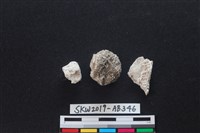 獸骨藏品圖，第2張