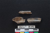 獸骨藏品圖，第2張