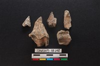 獸骨藏品圖，第1張