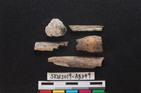 獸骨藏品圖，第1張