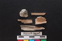 獸骨藏品圖，第2張