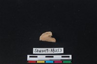 獸骨藏品圖，第1張