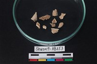 獸骨藏品圖，第3張