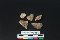 獸骨藏品圖，第2張