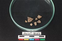 獸骨藏品圖，第3張