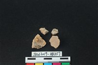 獸骨藏品圖，第2張