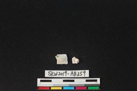 獸骨藏品圖，第2張