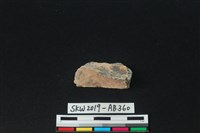 獸骨藏品圖，第2張