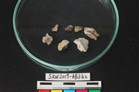 獸骨藏品圖，第2張