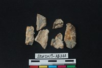 獸骨藏品圖，第1張